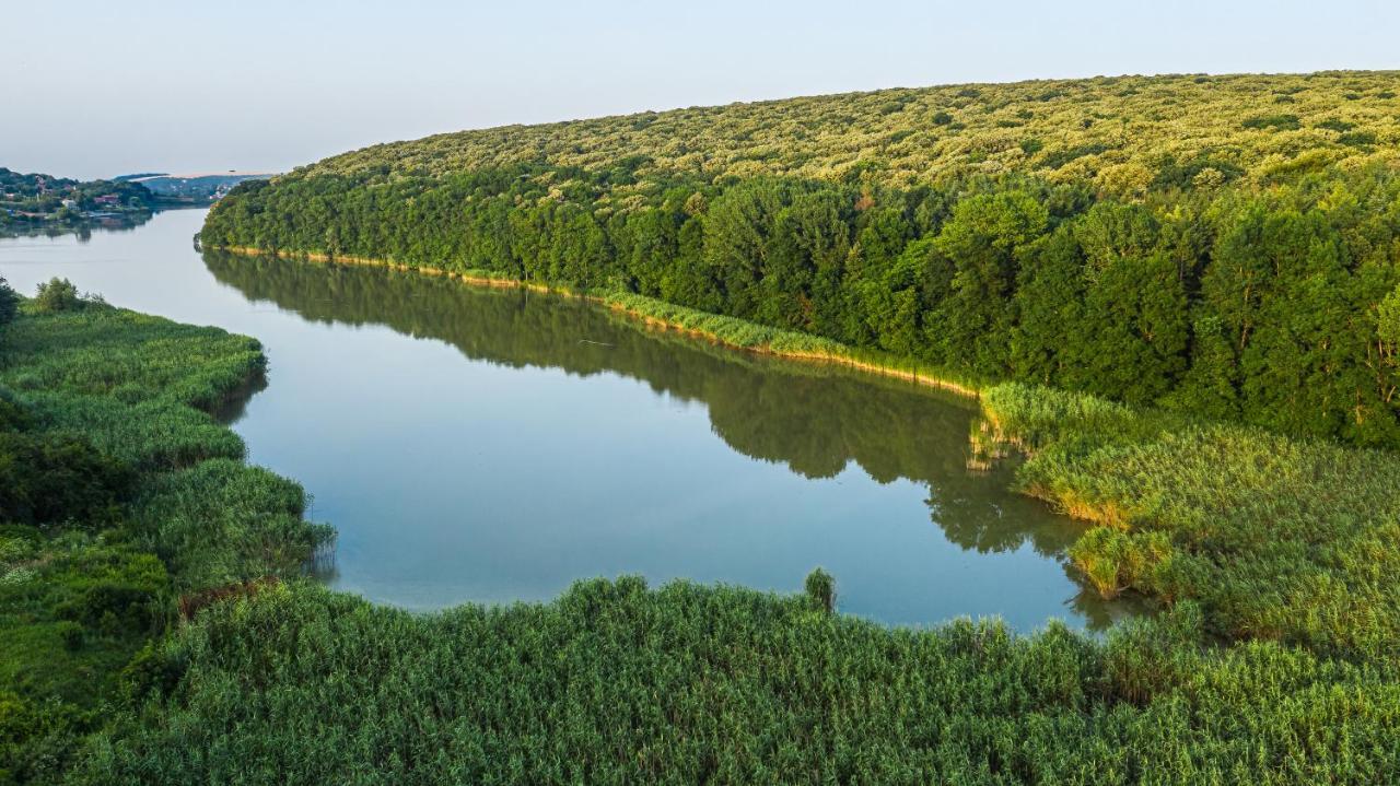 Вила Теkето I Vila Teketo Family Guest House Nikolovo Kültér fotó